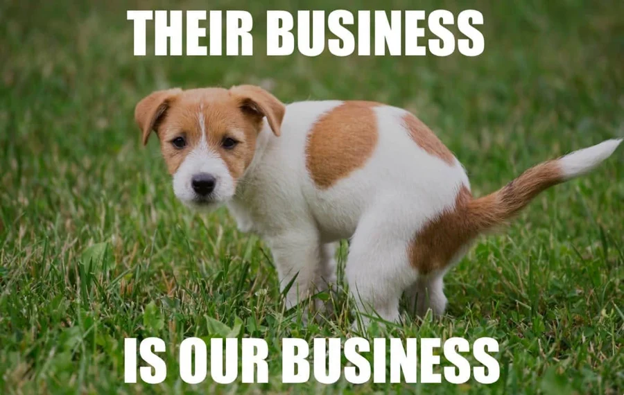 A dog in the grass, with the playful caption: Their business is our business